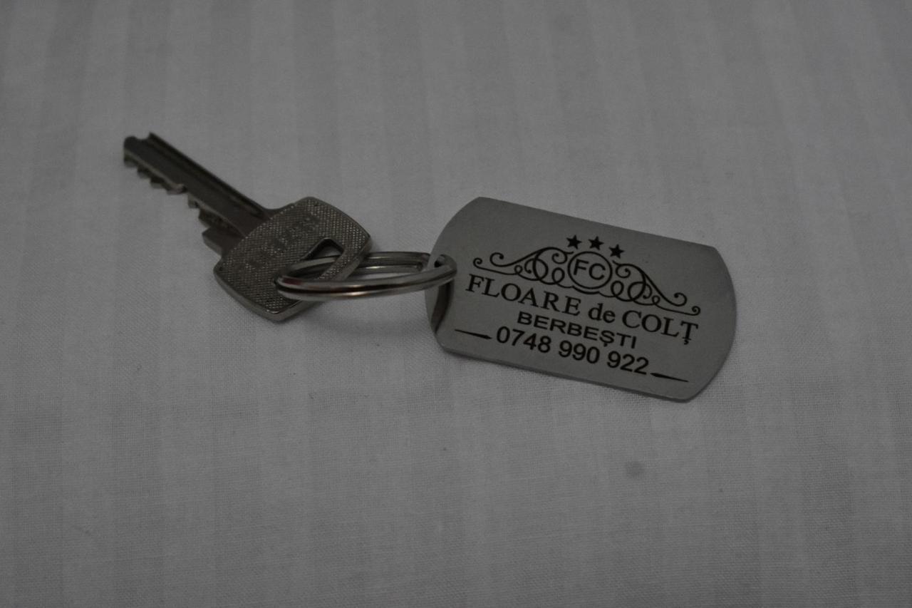 Floare De Colt Hotel Berbesti Exterior photo